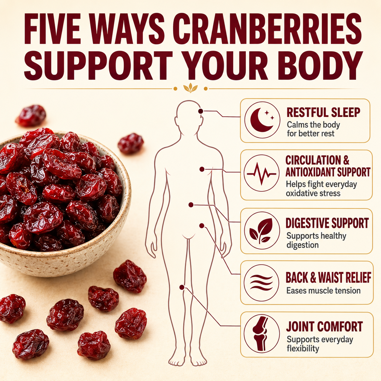 🍒Active Life Cranberry Bites — Fuel Your Day, Support Your Joints💪-&F